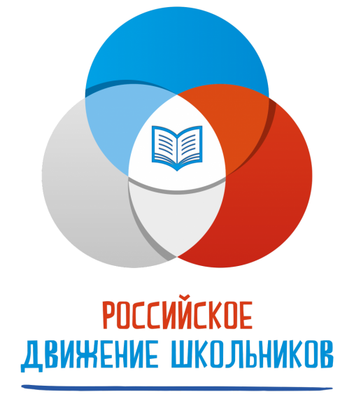 День детских общественных организаций: итоги года