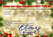 Афиша новогодних мероприятий!