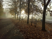 Итоги муниципального фотоконкурса «Осенний стоп кадр»