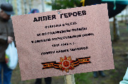 DSC_0736.jpg